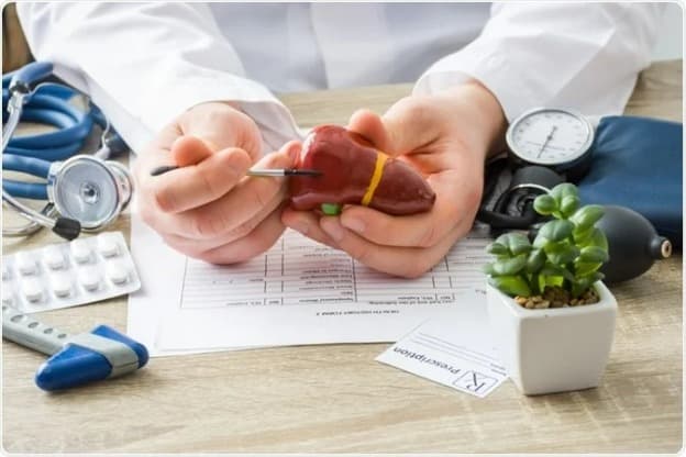 Understanding Hepatology