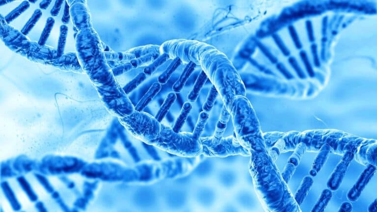 How Genetics Influence Stroke Recovery